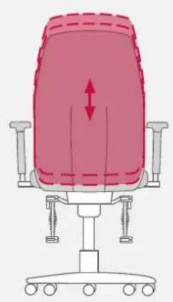 Bioswing 250 iQ V - Adapter le support lombaire à la colonne vertébrale - 2