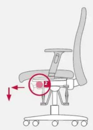Bioswing 250 iQ V - Individually Adjusted Seat Tilt - 3