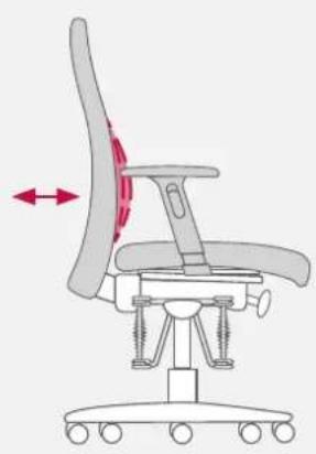 Bioswing 250 iQ V - Adapter le support lombaire à la colonne vertébrale - 4