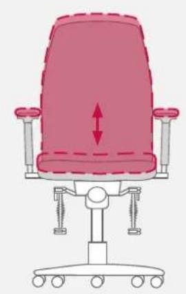 Bioswing 250 iQ V - Individually Adjusted Seat Tilt - 2