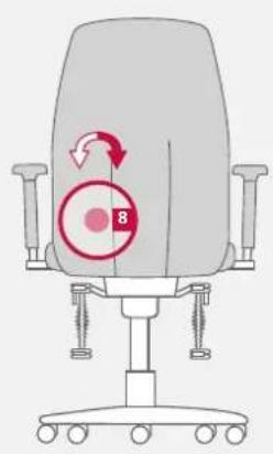 Bioswing 250 iQ V - Adjustment of Lumbar Support to Shape of Back - 3