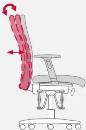 Bioswing 250 iQ V - Individually Adapted Back Pressure - 4