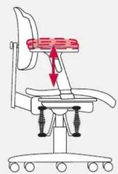 Bioswing 230 iQ V works - Adapter l'accoudoir en hauteur - 4