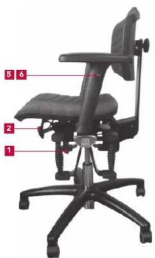 Bioswing 230 iQ V works - Raising the Seat - 1