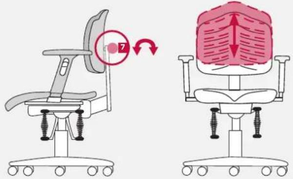 Bioswing 230 iQ V works - Adaptation du dossier en hauteur - 2