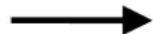 Powerpeak FHT6704 - LCD Workout Graphics - 16