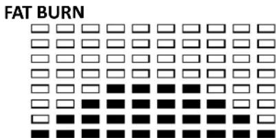 Powerpeak FHT6704 - LCD Workout Graphics - 6