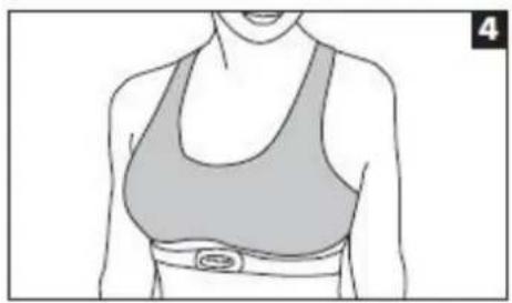 Toorx SRX 80 - ATTENTION - 5