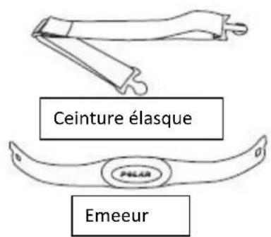 Toorx SRX 80 - ATTENTION - 1