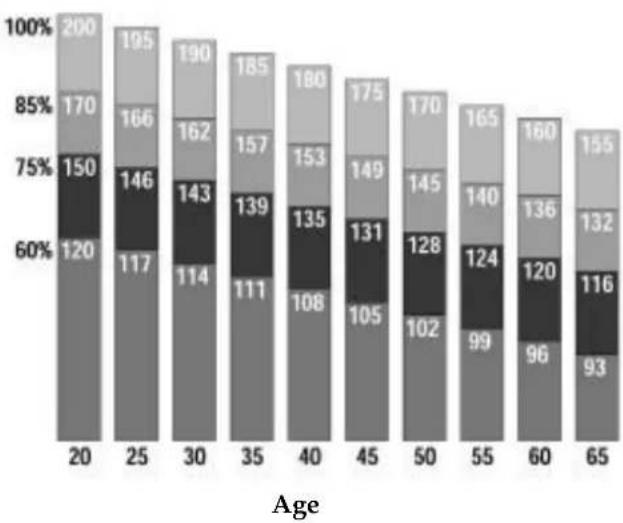Toorx SRX 45 - Programme d'entrainment - 2