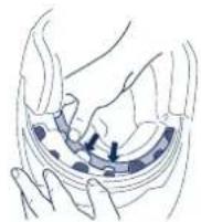 Schuberth C3 Pro - Montaje de la almohadilla de la cinta de la cabeza - 1