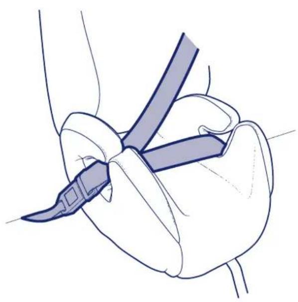 Inglesina Prime Miglia IFix - Vérification de la position de la boucle de la ceinture du vehicule - 1
