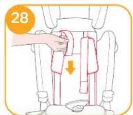 Joie Elevate - With back support - 5