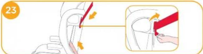 Joie Elevate - Use Buckle - 7