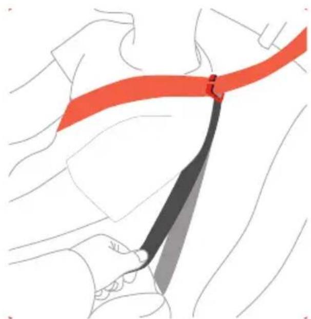 Diono Cambria - Guide de la ceinture de sécurité - 1