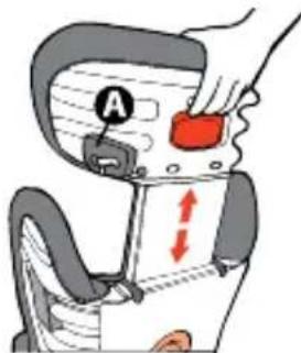 Diono Monterey XT - Attacher l'enfant - 1