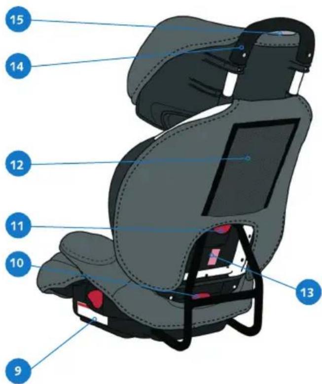 CASUALPLAY Protector - CONOSCETE IL PROTECTOR - 2