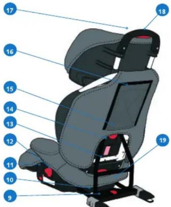 CASUALPLAY Protector Fix - CONOCE EL PROTECTOR FIX - 2