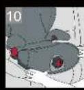 CASUALPLAY Protector Fix - 10