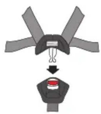 CASUALPLAY Bicare Fix - 12
