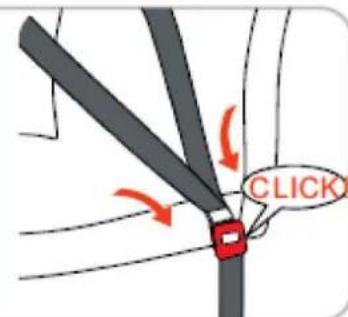 BabyGO Sportline - HINWEISE: - 25