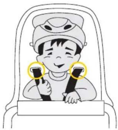 Topeak BabySeat II - So setzen Sie Ihr Kind richtig in den Kindersitz - 1