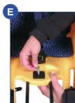 Bellelli Standard - 11