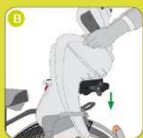 Bellelli Clamp - 5