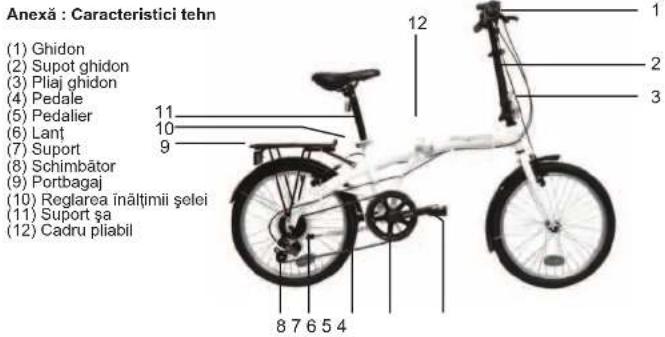 WAYSCRAL W175 - 2) Garantie aplicabilă - 1
