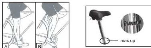 WAYSCRAL W175 - Selle - 1