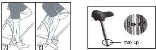 WAYSCRAL W175 - Sillin - 1