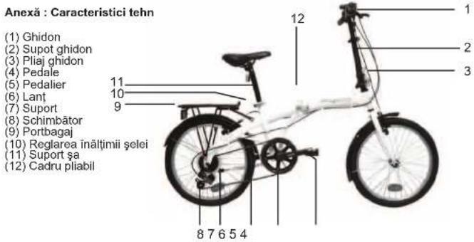 WAYSCRAL W165 - 2) Garantie aplicabila - 1
