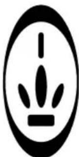 PRINCESS 4 Men 535596 - PILAS - 2