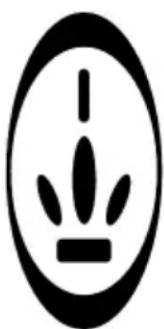 PRINCESS 4 Men Wet 'n Dry 535576 - Conseils - 1