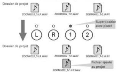 ZOOM H5 - CONSEIL - 1