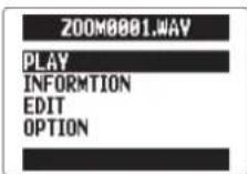 ZOOM H5 - CONSEIL - 2