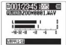 ZOOM H5 - CONSEIL - 2