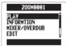 ZOOM H5 - CONSEIL - 1