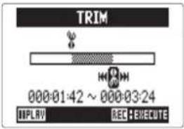 ZOOM H5 - CONSEIL - 1