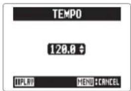 ZOOM H5 - CONSEIL - 1