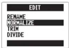 ZOOM H5 - Normalisation Format WAV uniquement - 7