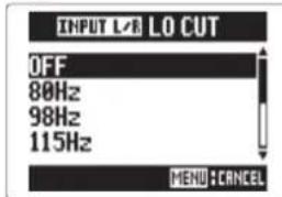 ZOOM H5 - CONSEIL - 1