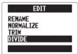 ZOOM H5 - Division de projets/fichiers - 7