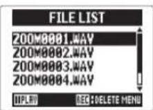ZOOM H5 - Normalisation Format WAV uniquement - 4