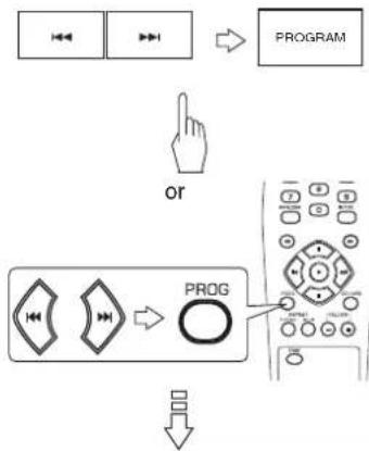 SHERWOOD CDC5506 - Rectifying any wrong programmed track/file - 2