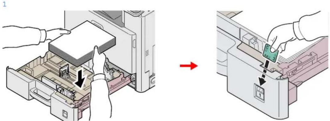 Triumph-Adler DCC 6525 - Charger du papier. - 1