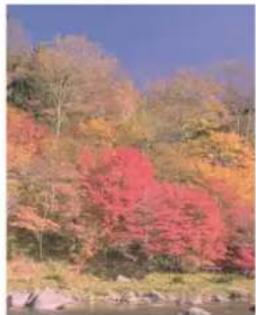 Triumph-Adler DCC 6525 - Balance des couleurs - 5