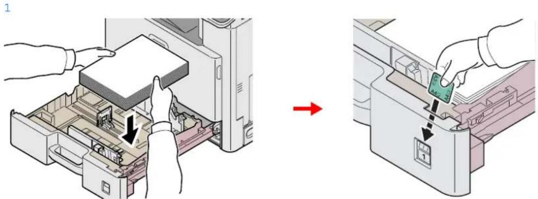 Triumph-Adler DCC 6520 - Régler le format du magasin. - 5
