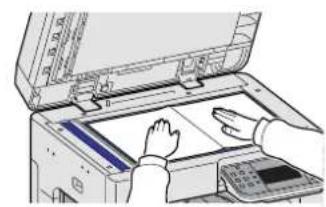 Triumph-Adler DCC 6520 - Mettre en place les originaux - 1