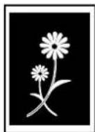 Triumph-Adler DCC 2635 - Copie inversée - 7